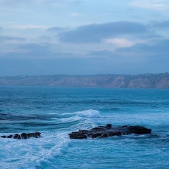 心存我者以真换真