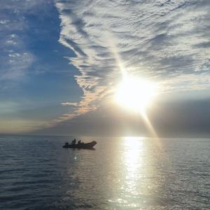 我看了56次日落