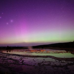 一袋棕狮(Prod․by Dove Wave)