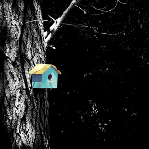 Contándonos Ficción