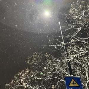 思绪拉回那年东