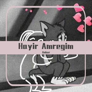 Hayir Amrigim