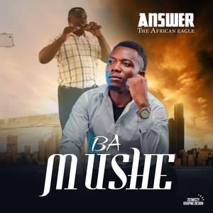 Ba Mushe