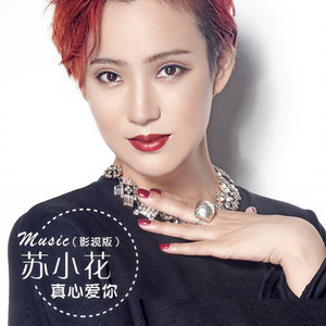 真心爱你 (DJ九零版)