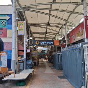 외눈박이 물고기의 사랑