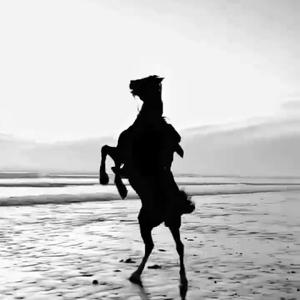 Никотин HoP3）MX