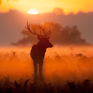 如果我们没爱过