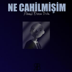 Ne Cahilmişim