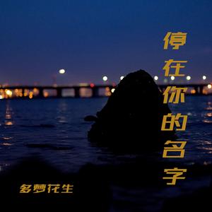 年轻的荒漠