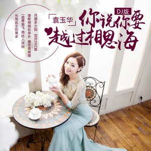 你说你要越过相思海 (DJ版)