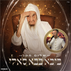 ביבא בבא סאלי