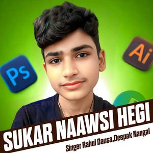 SUKAR NAAWSI HEGI