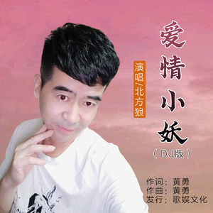 爱情小妖 (dj版)