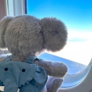 《多情种（Cover 要不要买菜）》