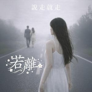 說走就走