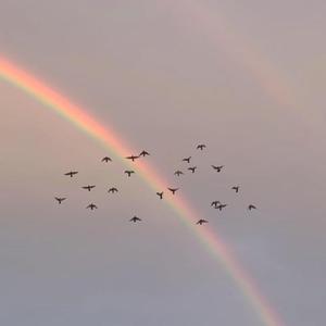 你一定能够成为你想要去成为的人