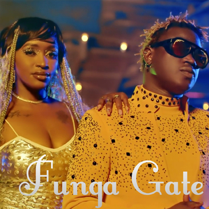 Funga Gate