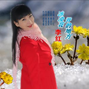 冰凌花开的地方