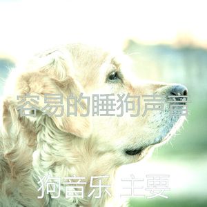 柔和的小狗时刻