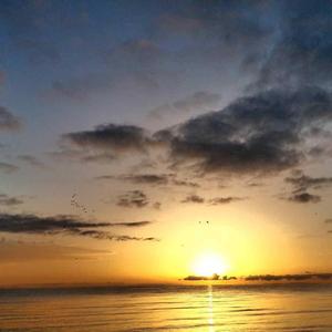 白天的阴影让黑夜无法抹去