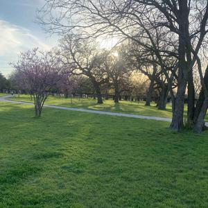 bad and boujee (feat. Kynlary & inluvwitit)