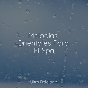 Gotas De Rocío En La Ventana