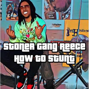How To Stunt
