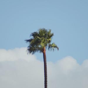 这一生关于你的风景