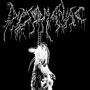 Functioning in the Paces of Lizards