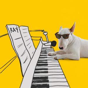 Petals on My Sneakers