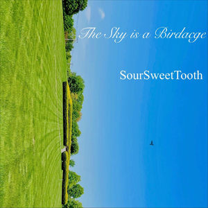 The Sky Is a Birdcage