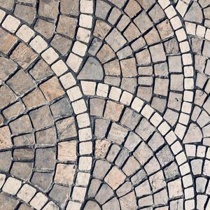 ペコとの出会い（翻自 健谈的抑郁患者）