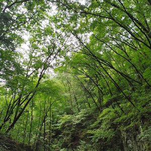 原创《青春年代》