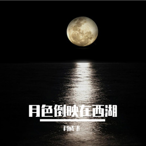 月色倒映在西湖