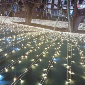 节日快乐邀请函