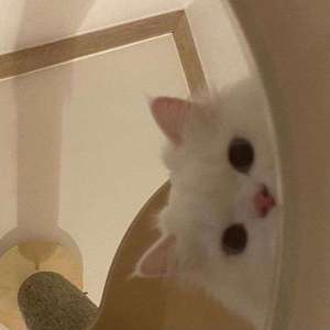 HwVideoEditor_2022_08_04_131412592_20220804_191428