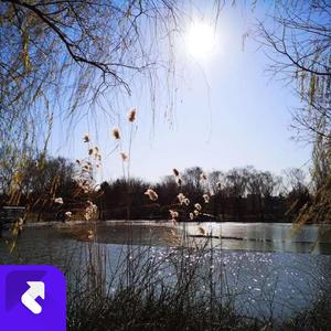 初冬，雨过天晴