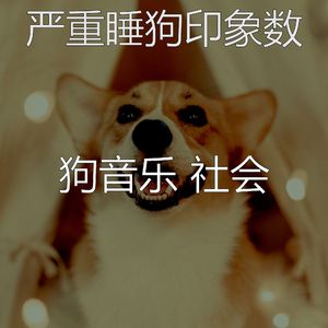 柔和的训练你的狗时刻