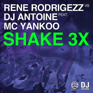 Shake 3x (Original Mix)