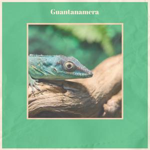 I Really Don't Want To Know