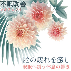 自律神経を整えて深い眠りへ導く瞑想音楽