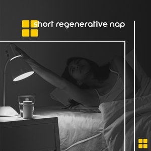 Mist in the Moonlight