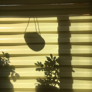 我只是需要一个拥抱