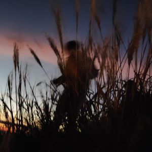 你想要的生活（Proy by BABYKEITH）