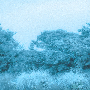 나는 너의 증거가 되고 싶어