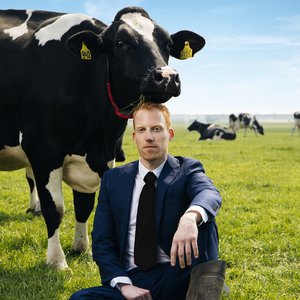 Wandelen door het Schotse park