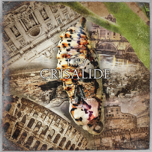 Crisalide