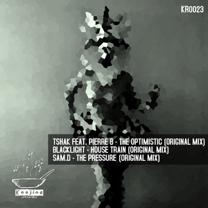 The Optimistic (Original Mix)