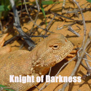 Knight of Darkness