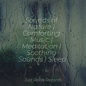 Melancholy Under the Canopy